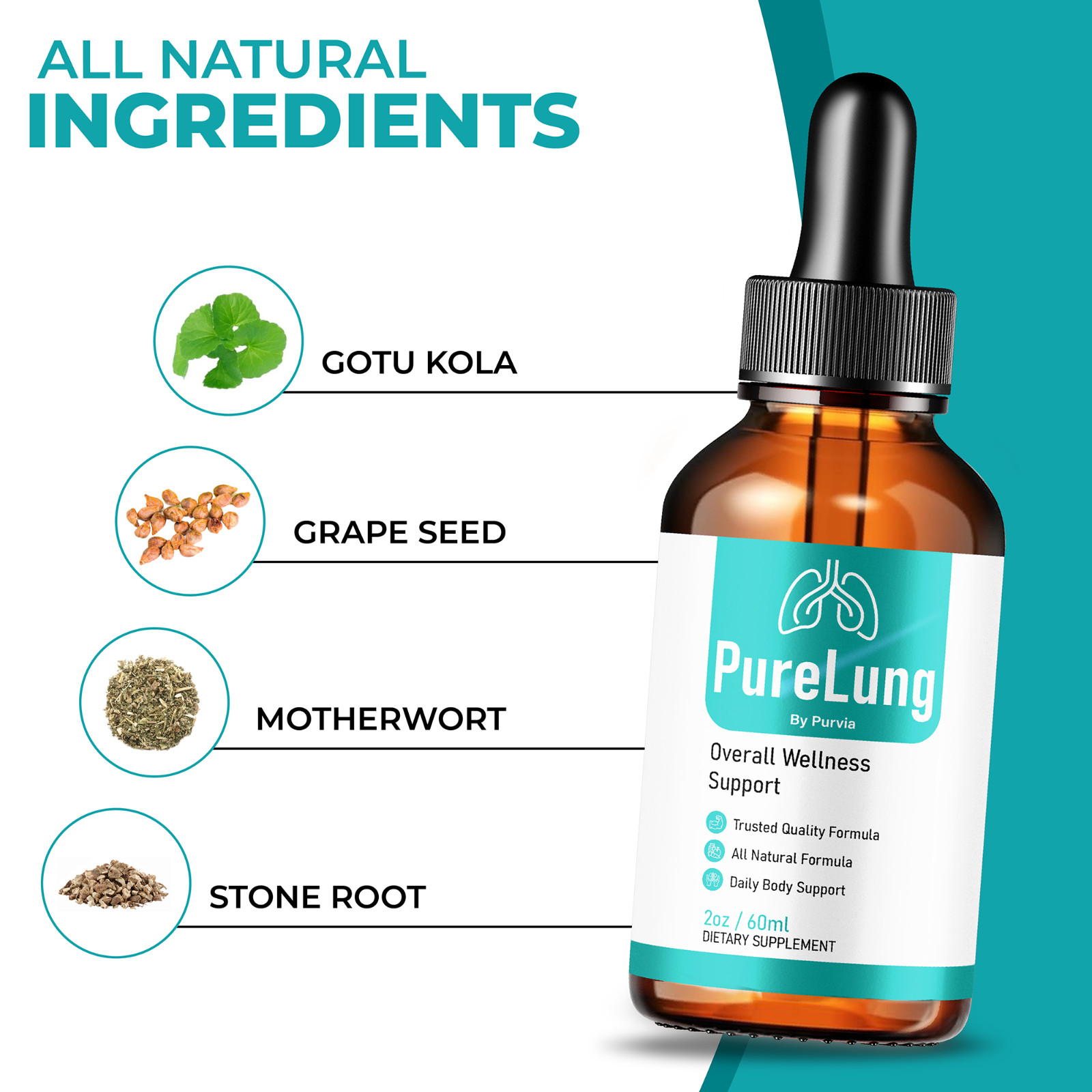 (5 Pack) Pure Lung Drops PureLung Respiratory Support Liquid Supplement (10 oz)