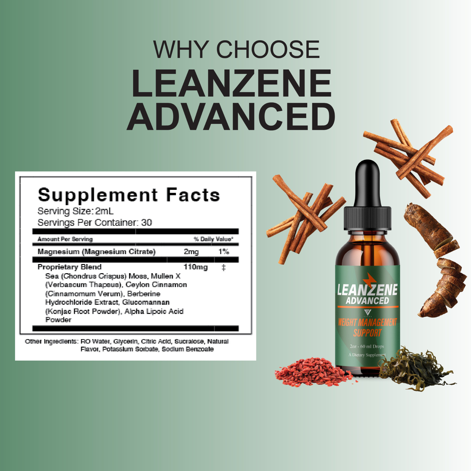 (5 Pack) Leanzene Weight Management Support, Leanzene Advanced Drops (10oz)