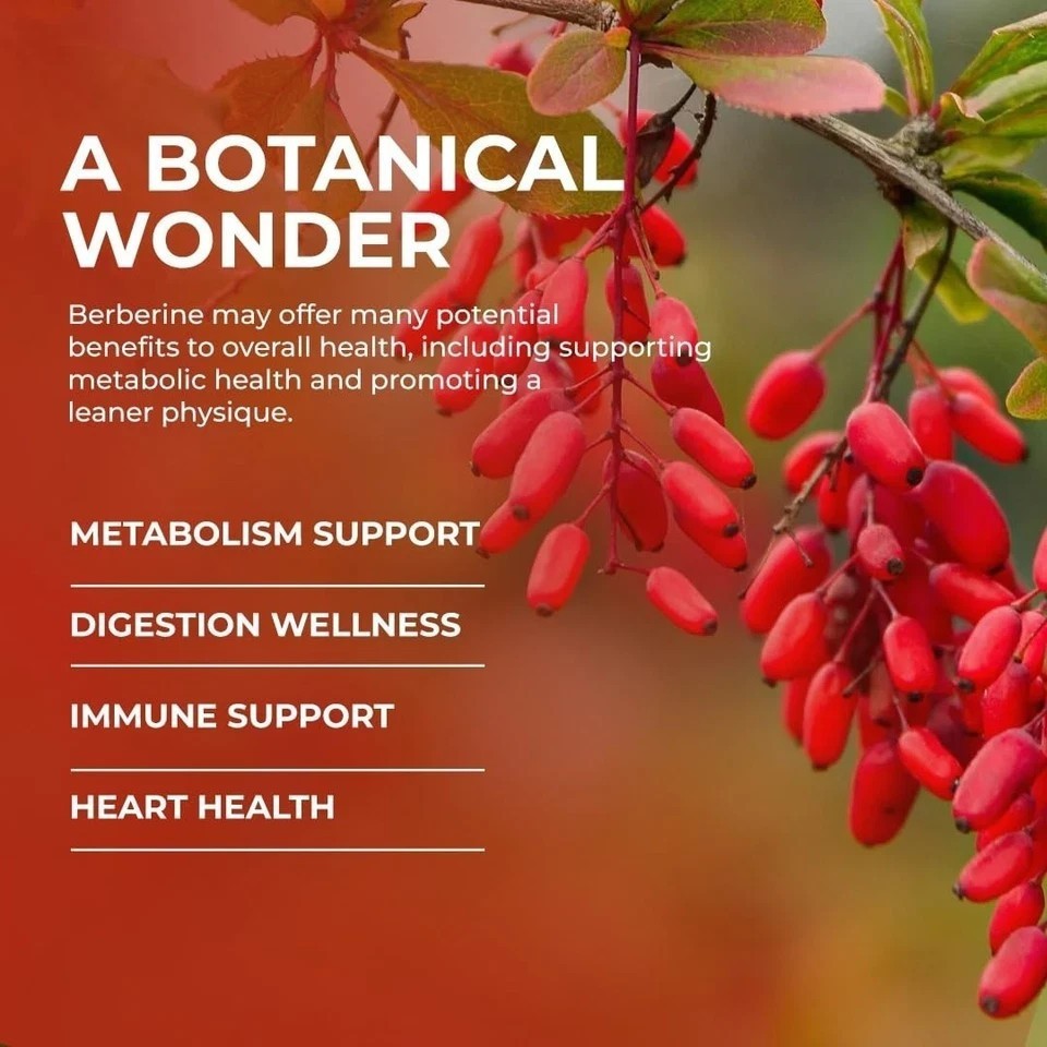 Berberine HCL 98% with Ceylon Cinnamon,Gurmar,Bitter Melon – 60 Veg Caps o734