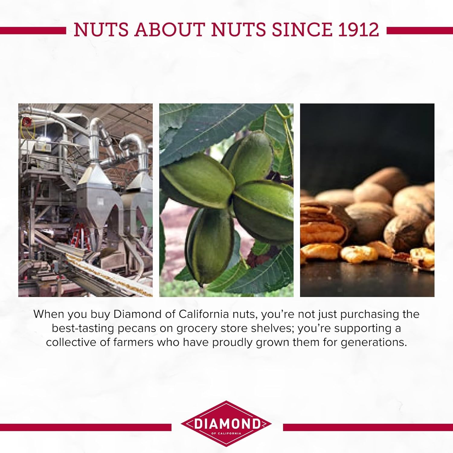 Diamond of California Pecan Pie Nuts, 3.25 oz. 1 Pack
