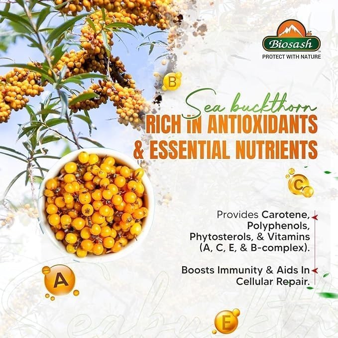 2X Biosash Himalayan Sea Buckthorn Juice 250ml Organic Cold Pressed Omega 3 6 9