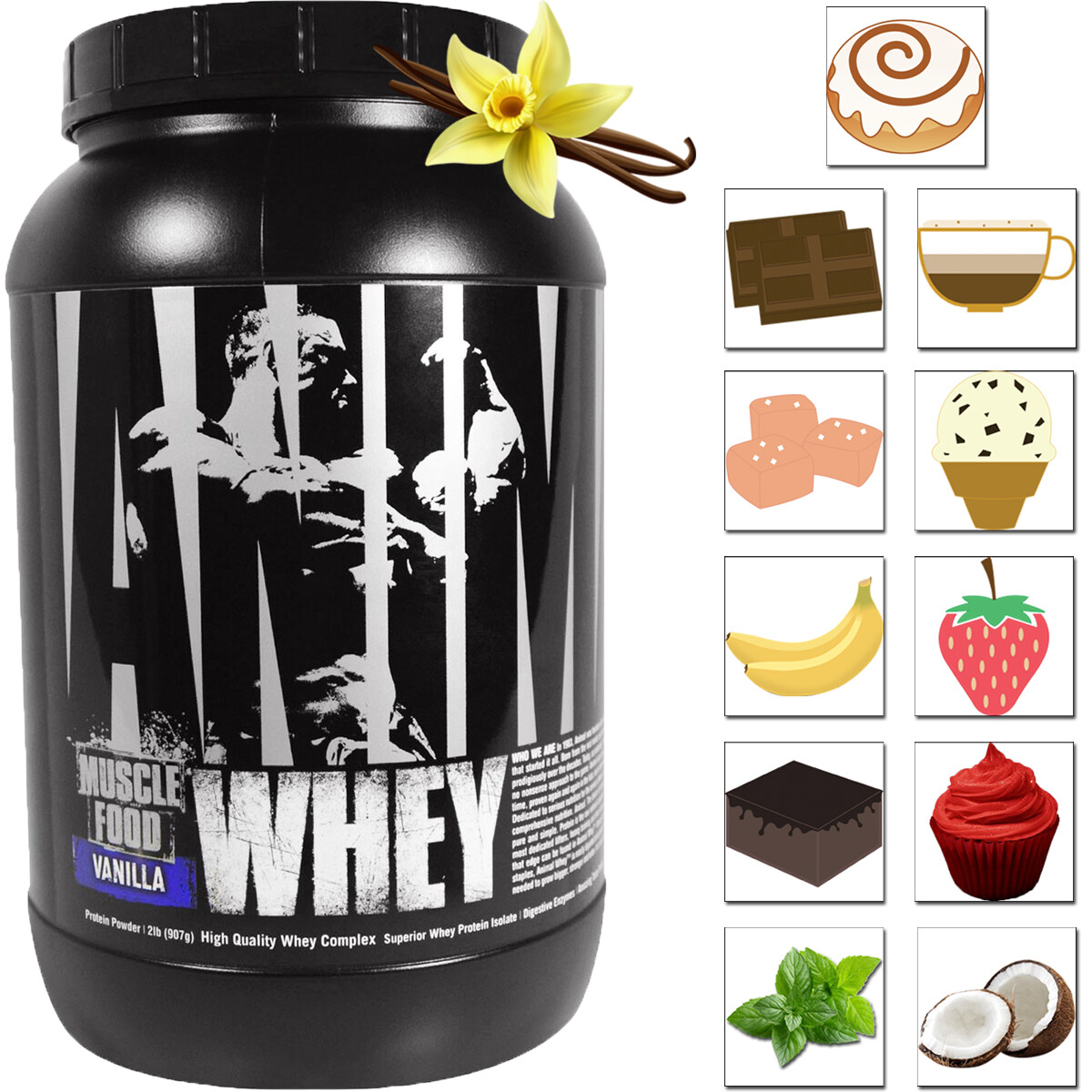 Universal Nutrition Animal Whey Isolate Loaded Protein Powder – 27 Servings