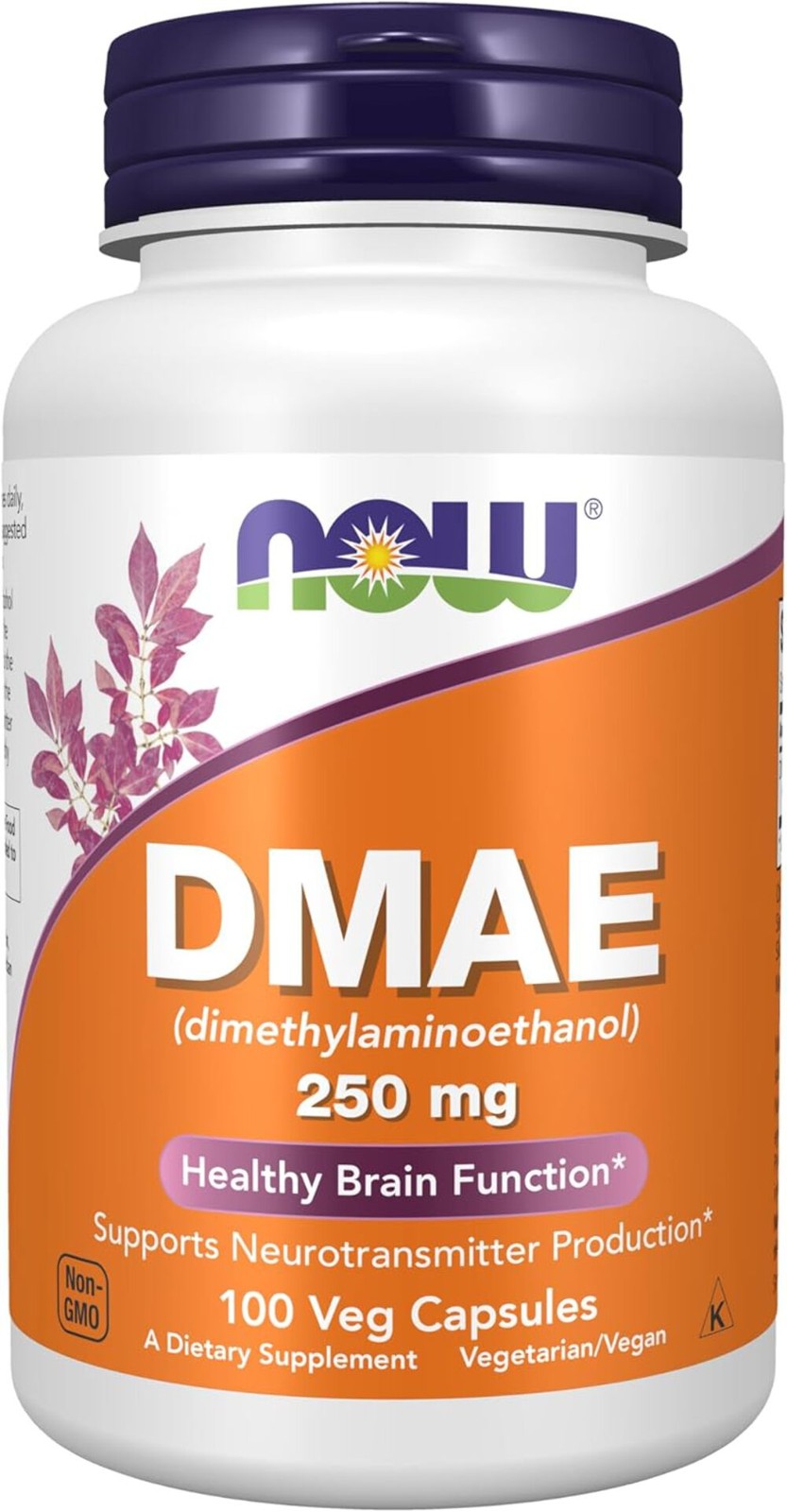 NOW, DMAE (Dimethylaminoethanol) 250 mg, Healthy Brain Function*, 100 Veg Caps