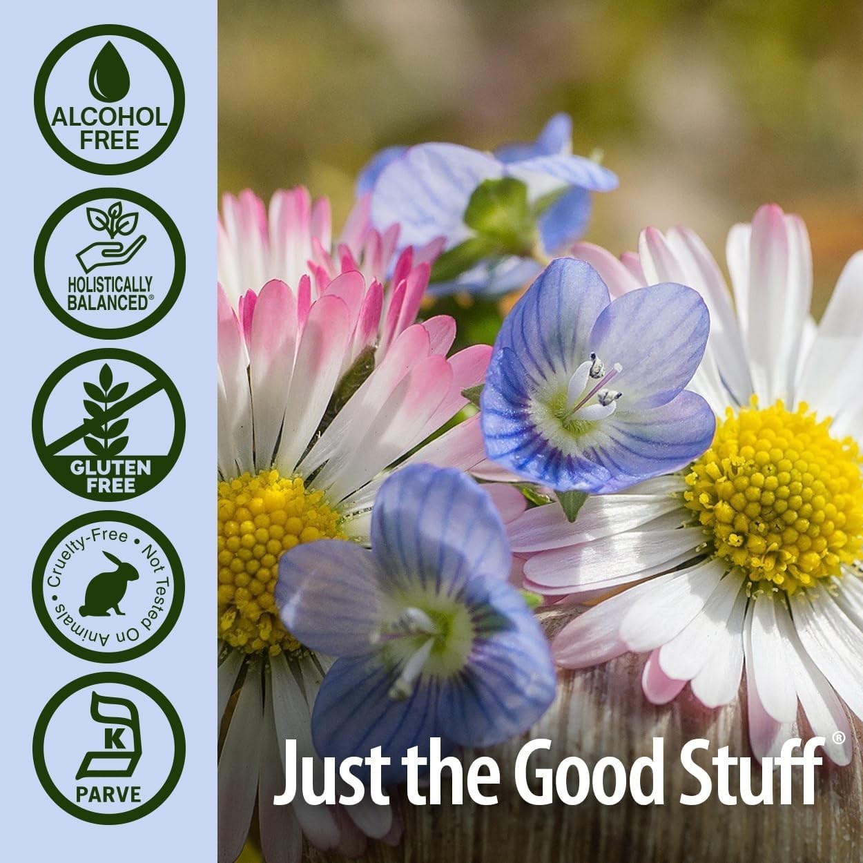 Eyebright Herb | Supports Healthy Eyes & Vision | Non-GMO | Alcohol-Free, Glu…