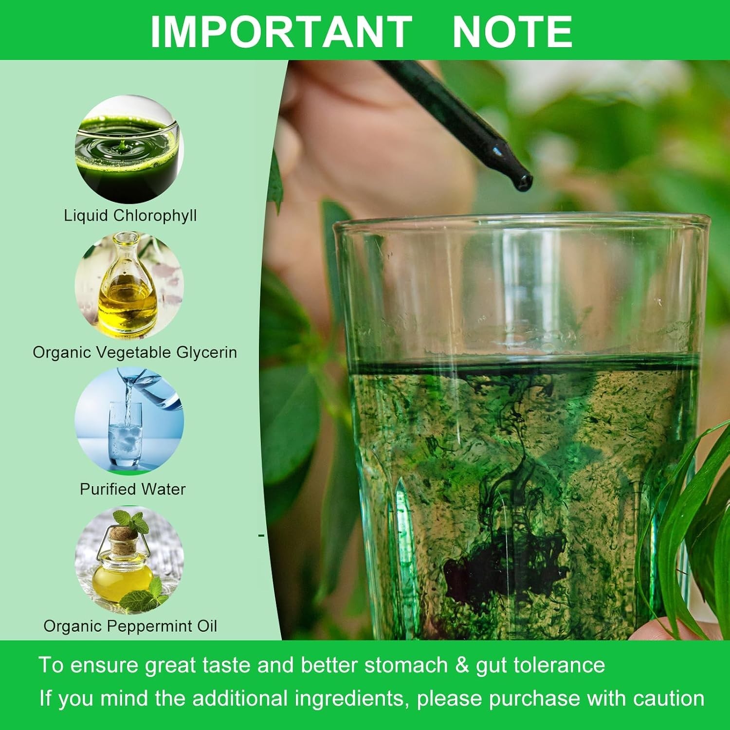 All-Natural Chlorophyll Drops – Supports Odor Balance & Digestive Health 60ml