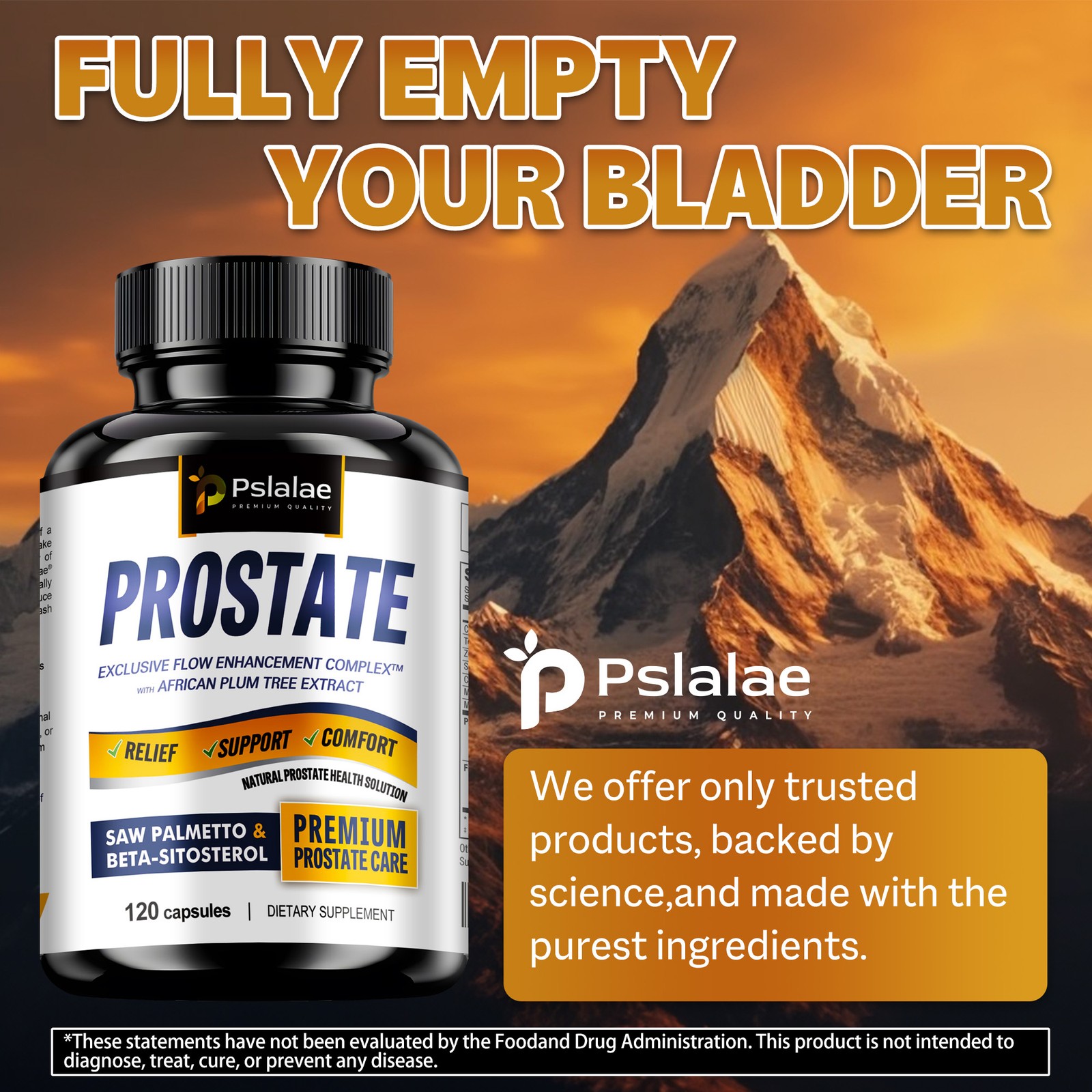 Prostate – Stinging Nettle, Saw Palmetto, Beta-Sitosterol – Urinary Tract Health