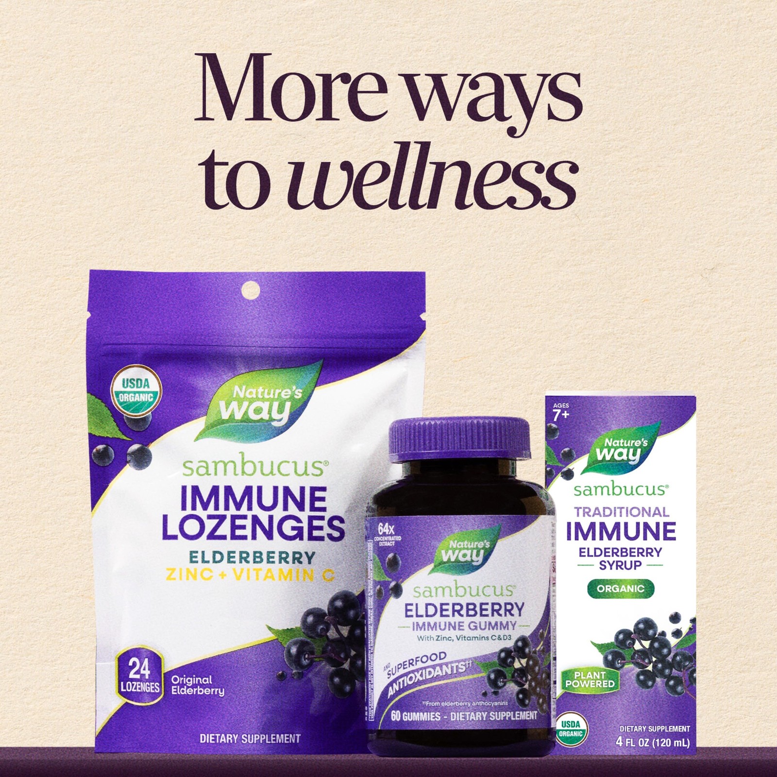 Nature’s Way Sambucus Elderberry Traditional Immune 8 Fl Oz (Pack of 1), –