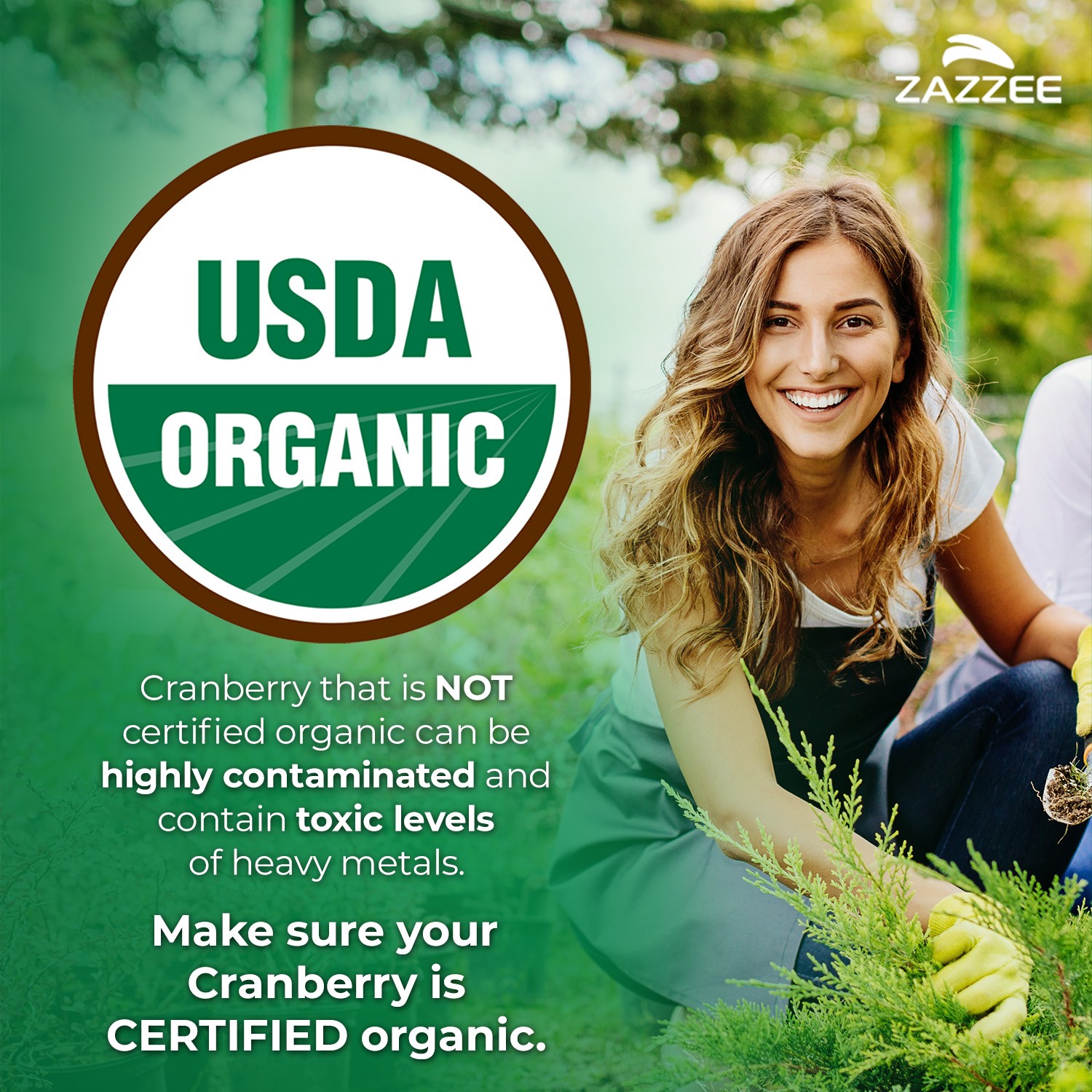 USDA Organic Cranberry Extract 12,500 mg Strength 100 Veggie Caps 25:1 Extract