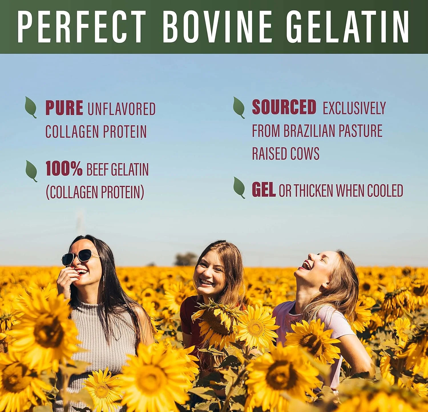 Perfect Bovine 100% Grass-Fed Beef Gelatin Powder 23.3 oz 60 Servings