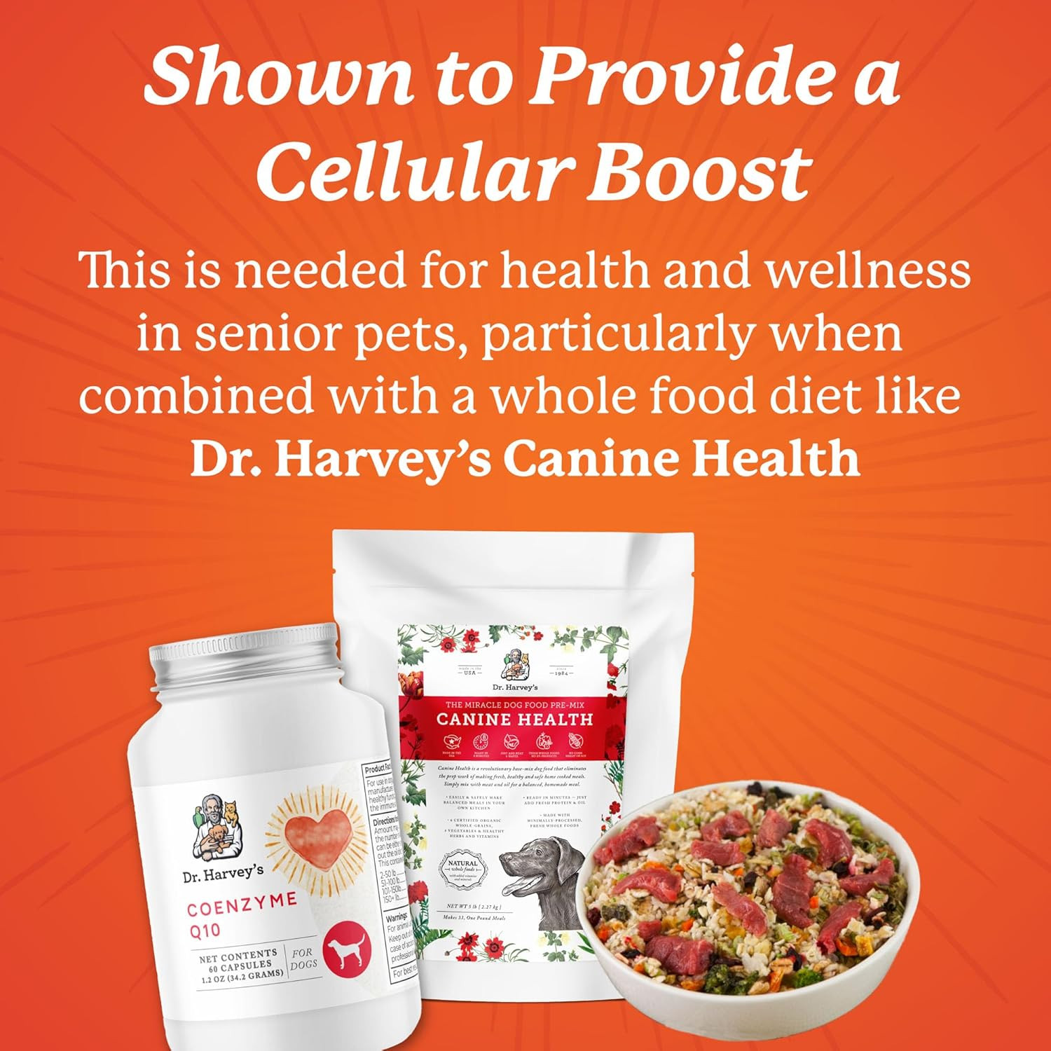 Coenzyme Q10 – Heart & Cardiovascular Support Supplements for Dogs, 60 Capsules