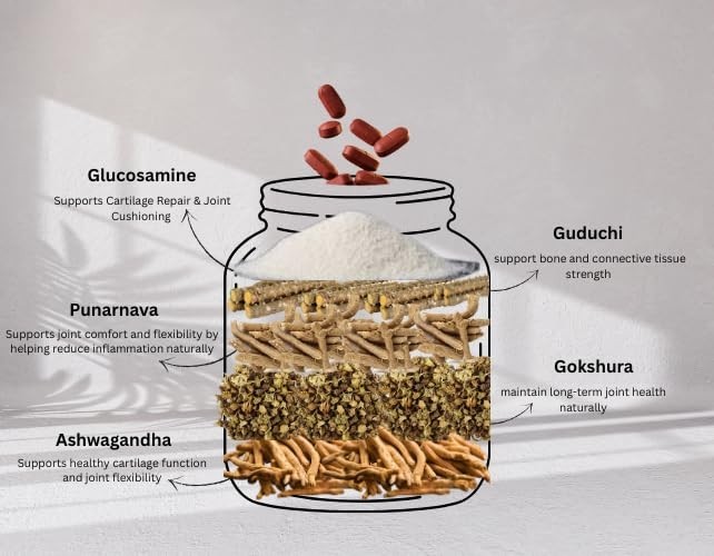 5 Pack A.naysha Pharma Glucosamine MSM 60 Capsules