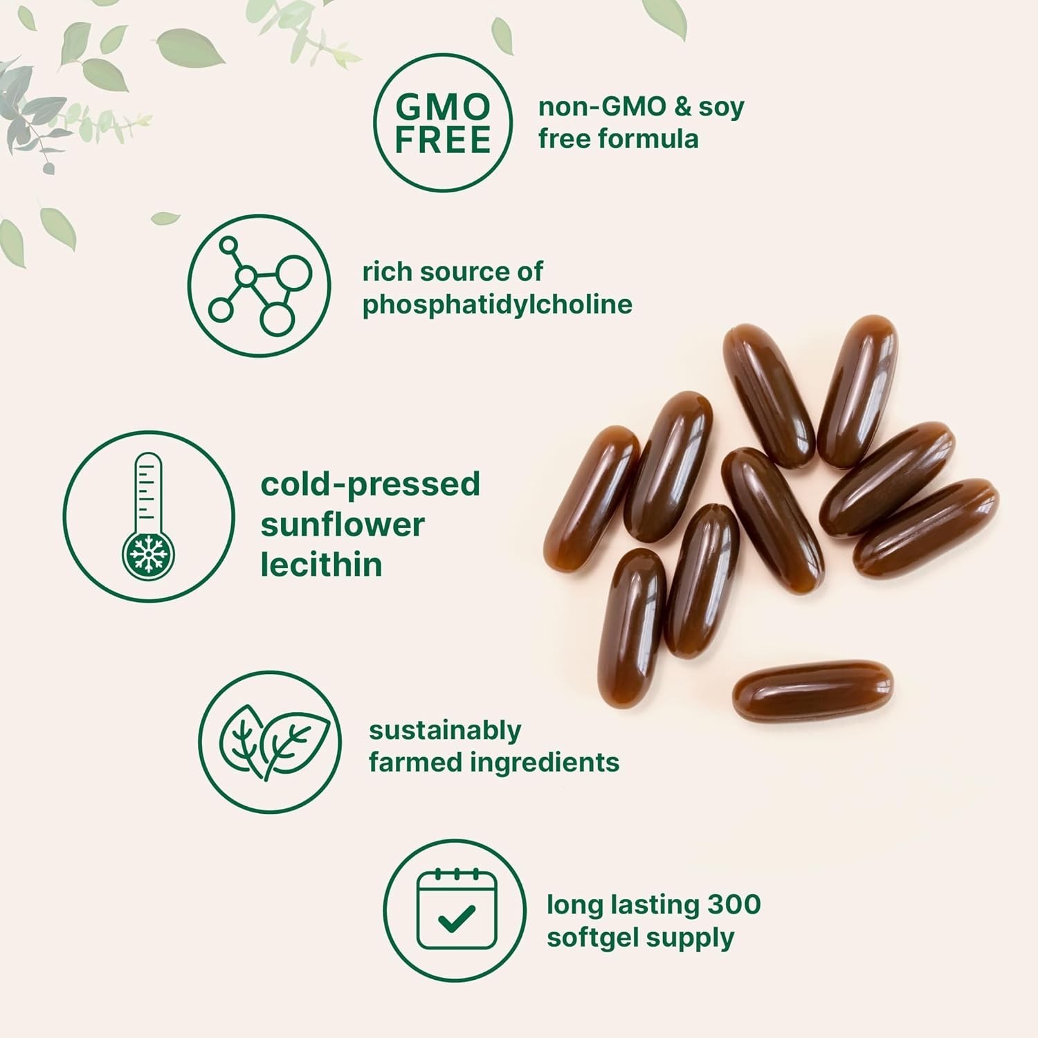 Sunflower Lecithin 1,600mg Per Serving, 300 Softgels | Sustainably Farmed Sou…