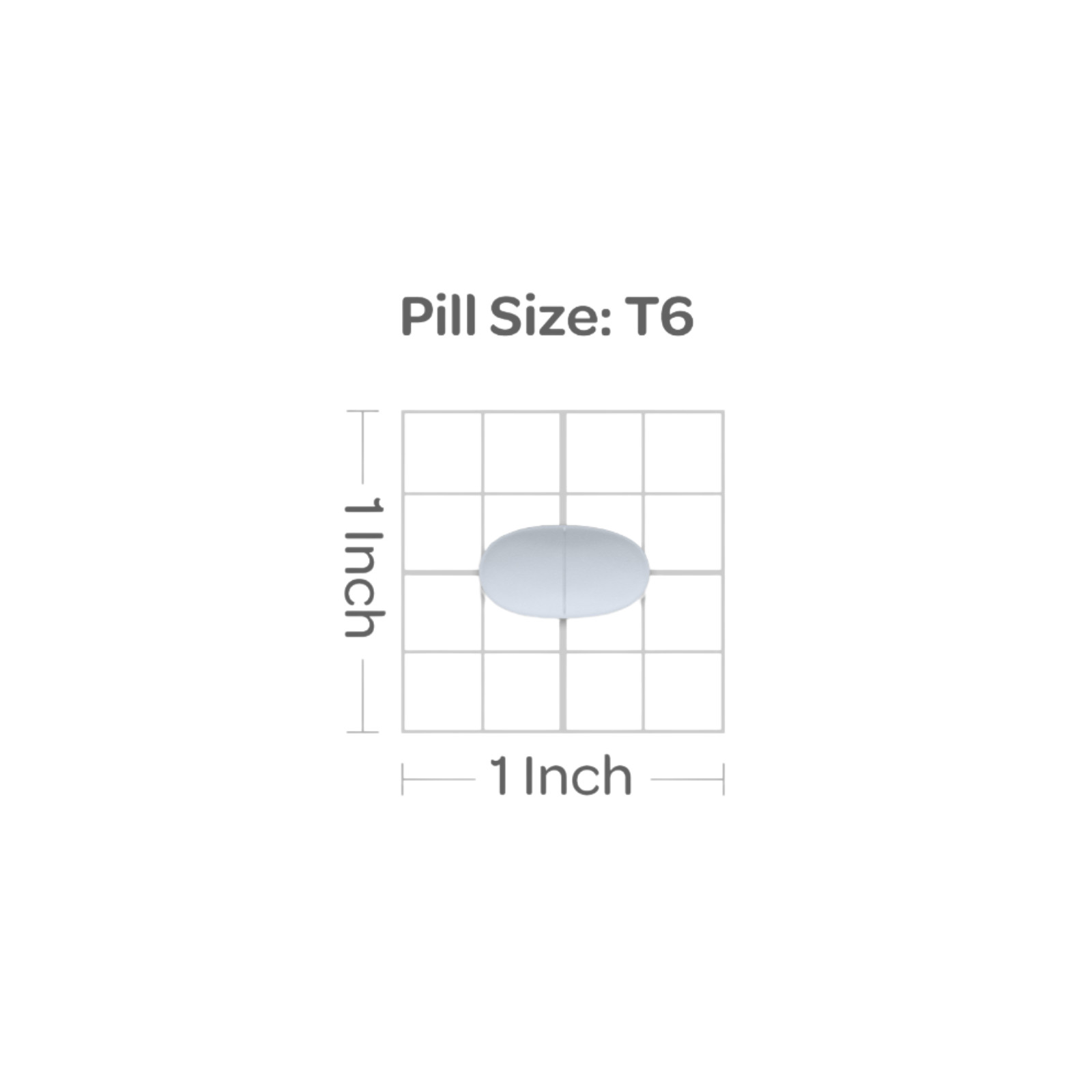 Puritan’s Pride Vitamin B-12 1000 mcg Timed Release – 100 Caplets