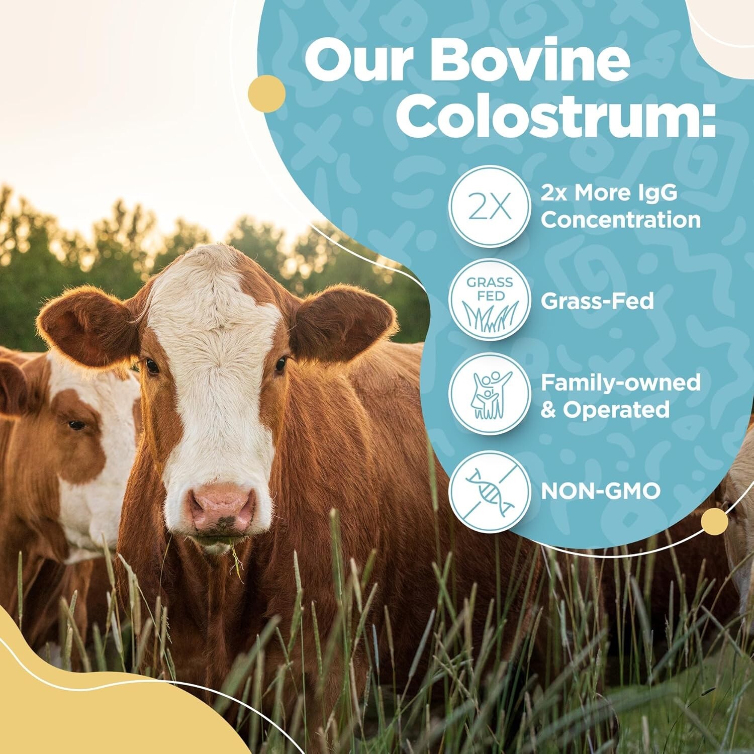 Bovine Colostrum Powder Highly Concentrated Pure Bovine 3.17 oz NEW