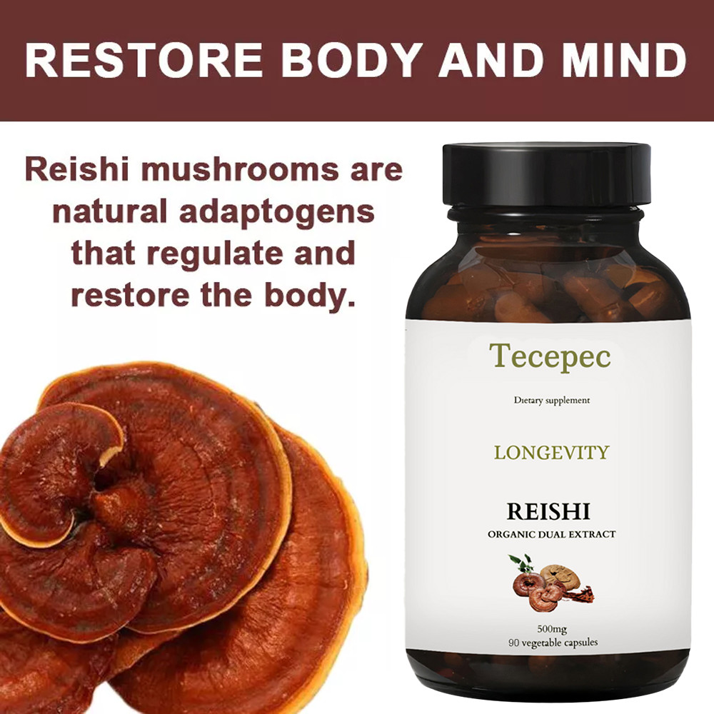 Reishi Mushroom Extract 500mg Pure Organic Strong Capsules (Ganoderma Lucidum)