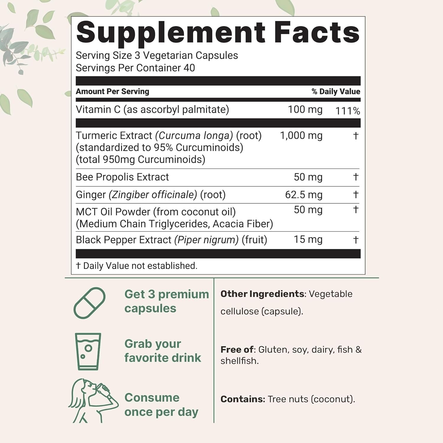 2bottles Premium Turmeric Curcumin 95% Pure, High Absorption – 240 Caps