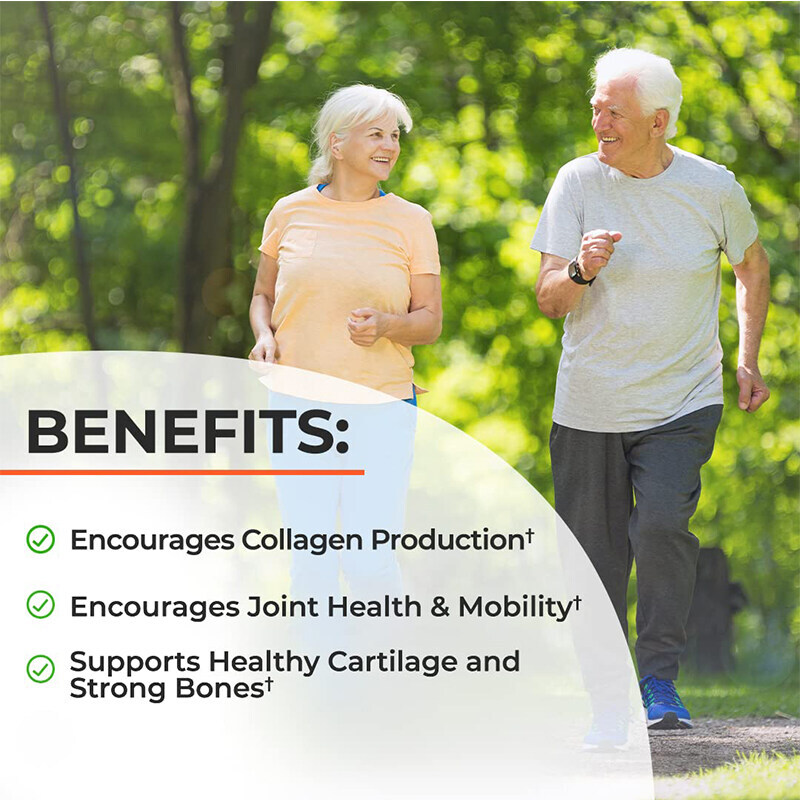 Glucosamine Chondroitin MSM Joint Support 120 Capsules – US
