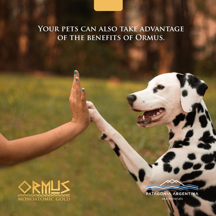 MONOATOMIC GOLD ORMUS 17oz-MEMORY AID,ENERGETICALLY ENHANCED, REJUVENATING