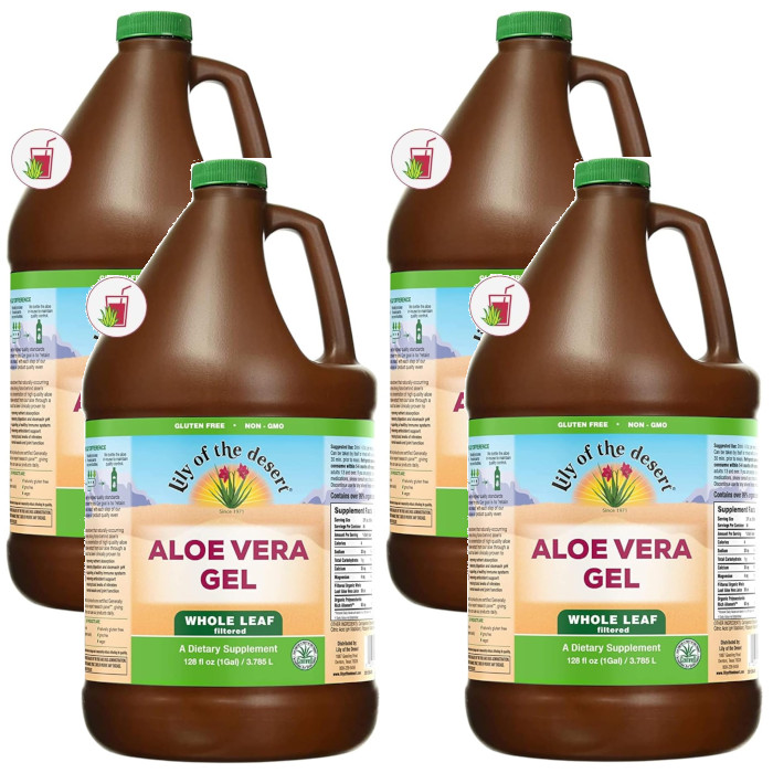 Aloe Vera Gel Whole Leaf (Filtered) 128 fl oz / 3.785 L Each (Pack of 4)