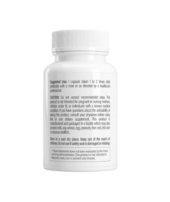 REFRESH – Digestive Comfort + Enzyme Support – 1 Bottle (30 Capsules) – NEW