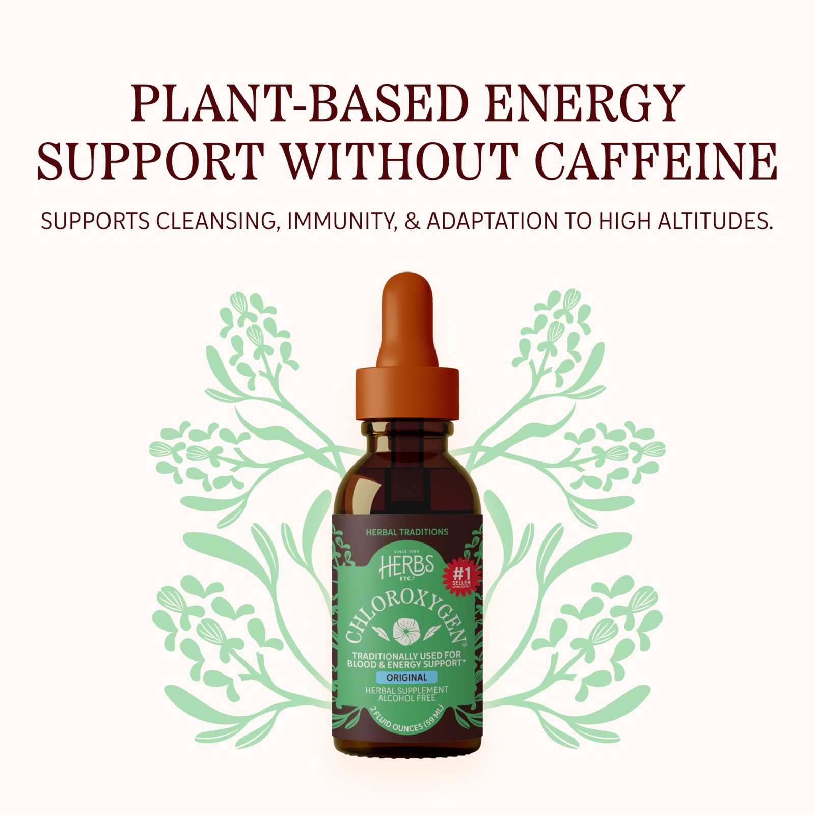 Chlorophyll Liquid Extract – Alcohol-Free Detox Drops for Skin, Gut & Energy Sup