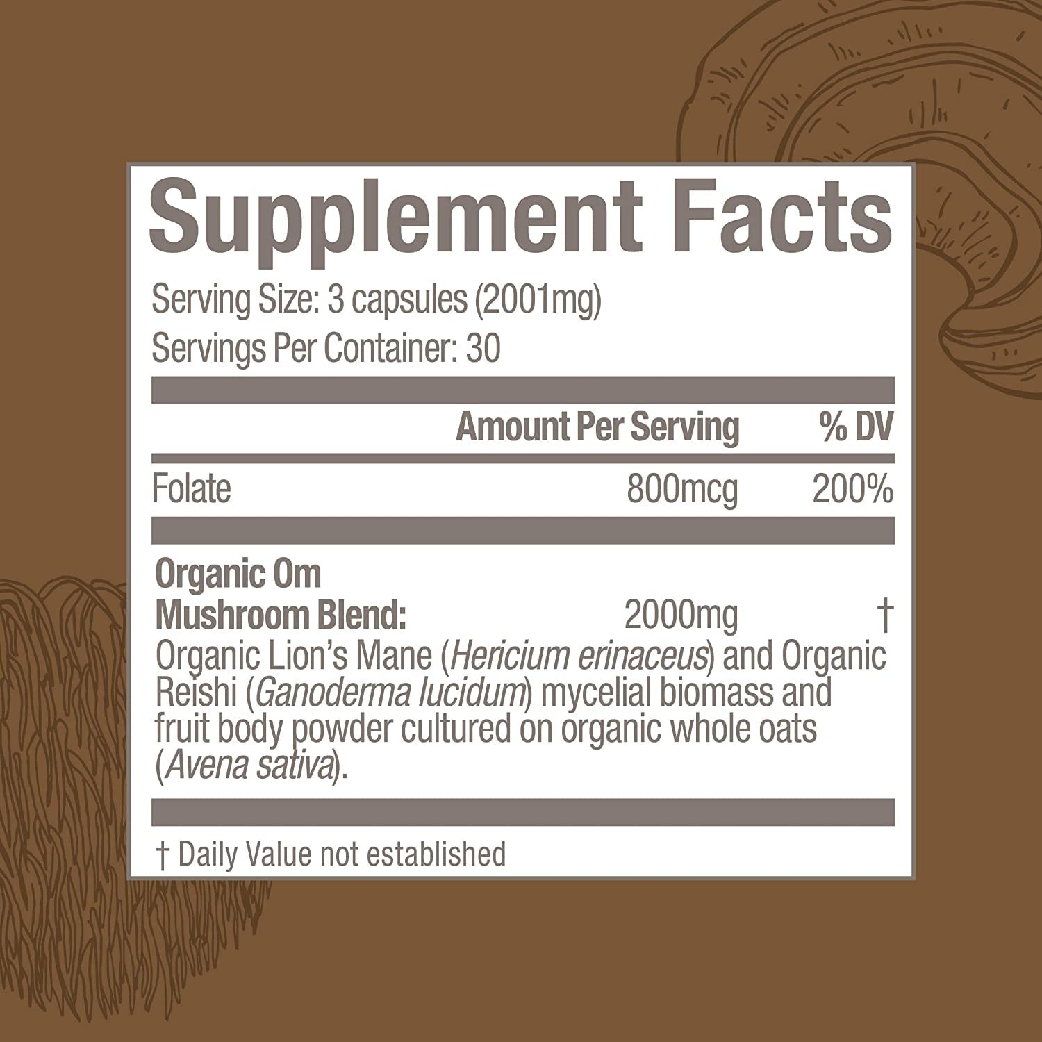 Om Mushroom Superfood Brain Fuel Mushroom Powder Capsules Superfood Supplement