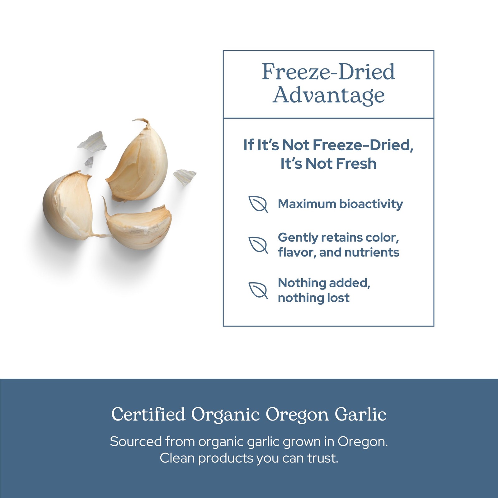 Eclectic Herb – Garlic Capsules | Cardiovascular Heart Health and Immune Supp…