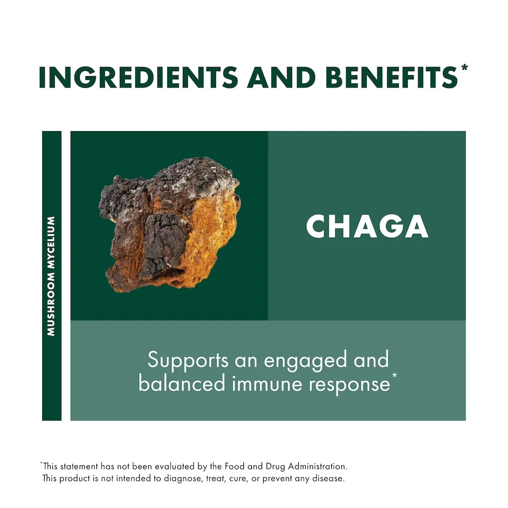 Fungi Perfecti Host Defense Chaga Powder 100 g Organic Antioxidant Support