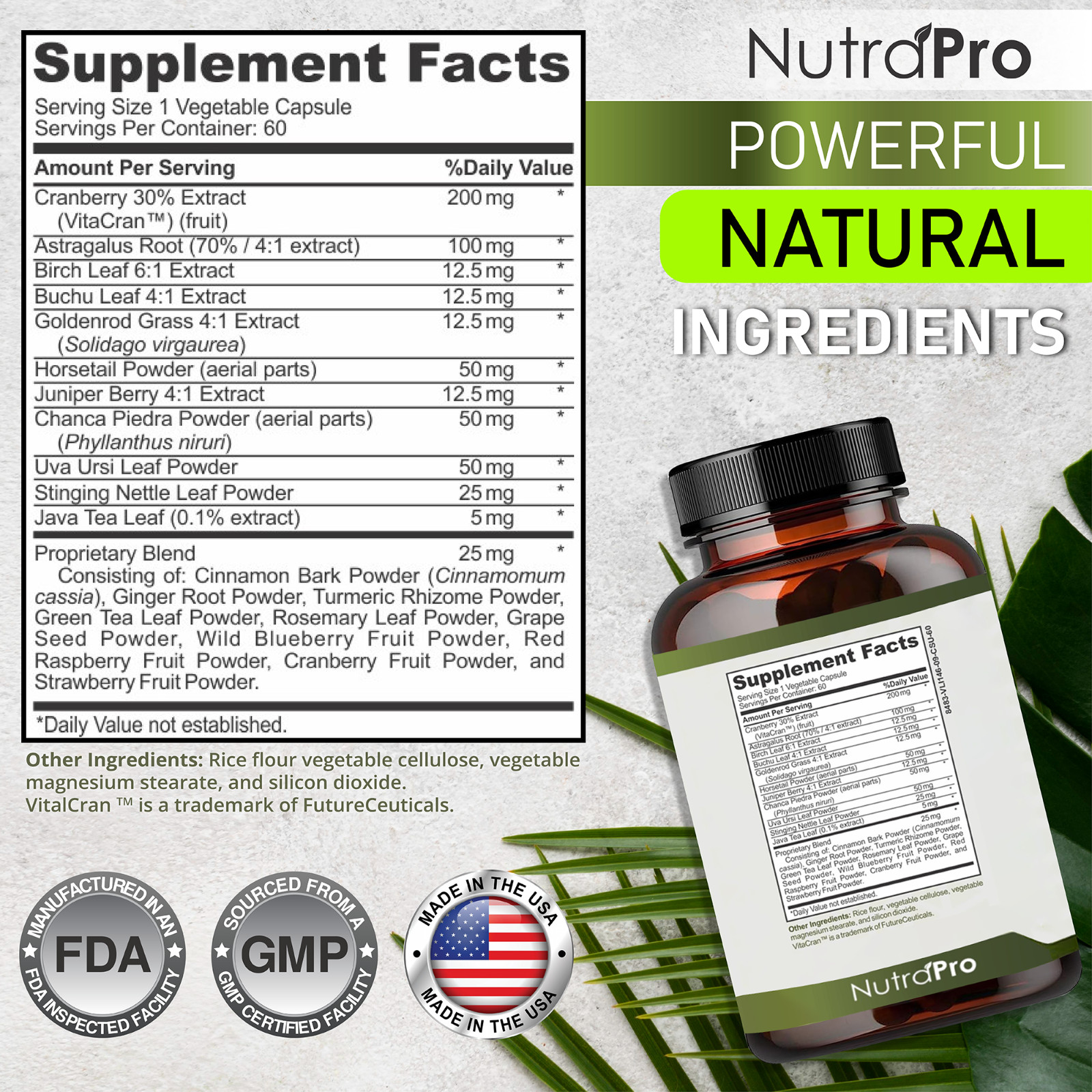 Kidney Cleanse Detox & Repair and Bladder Support- Supplement for Kidney Restore