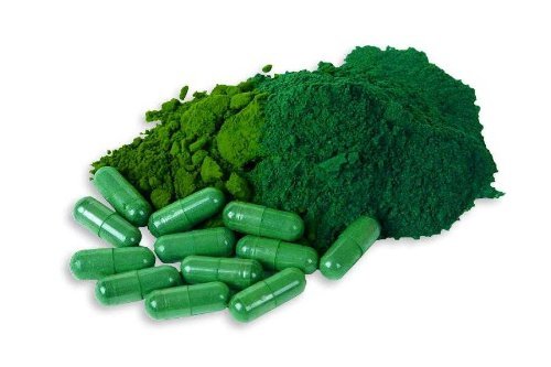 Red Marine Extract – BLUE GREEN ALGAE 500MG – Eliminates Appetite for Hours – 2B