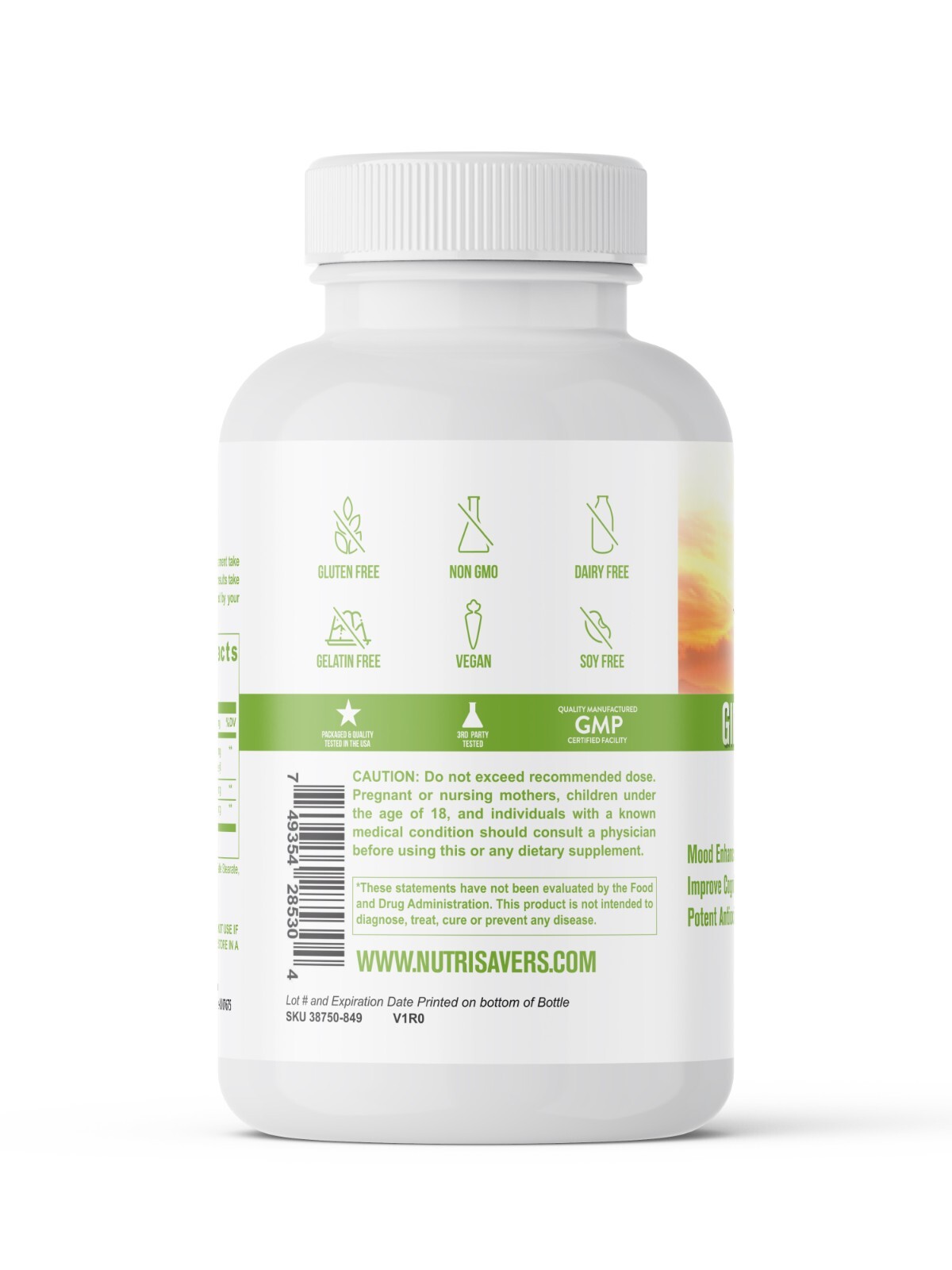 Ginkgo Biloba, Mood Booster, Supports Brain Function – 60 Cap, Pack of 3