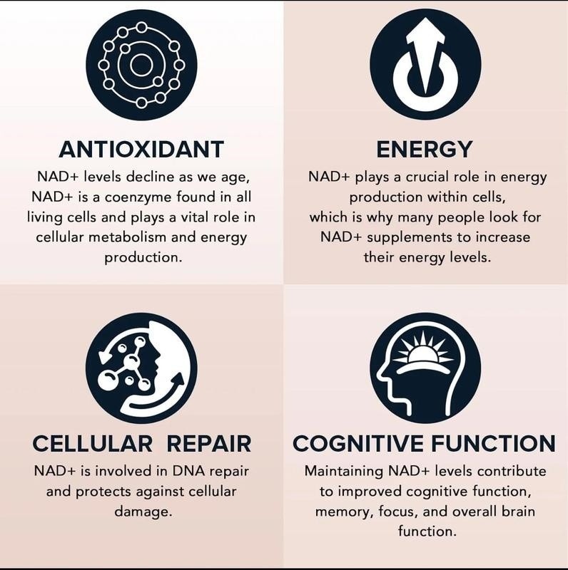 NAD Supplement Nicotinamide Riboside Resveratrol Quercetin Anti Aging Energy Foc