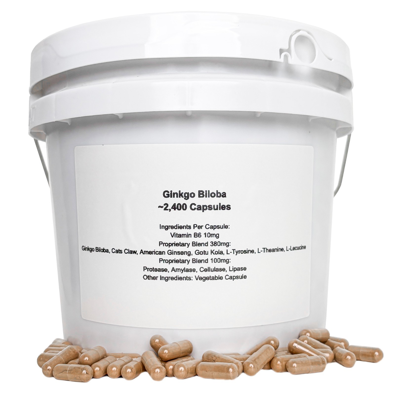 BULK Ginkgo Biloba Capsules ~2,400 Capsules Per Bucket