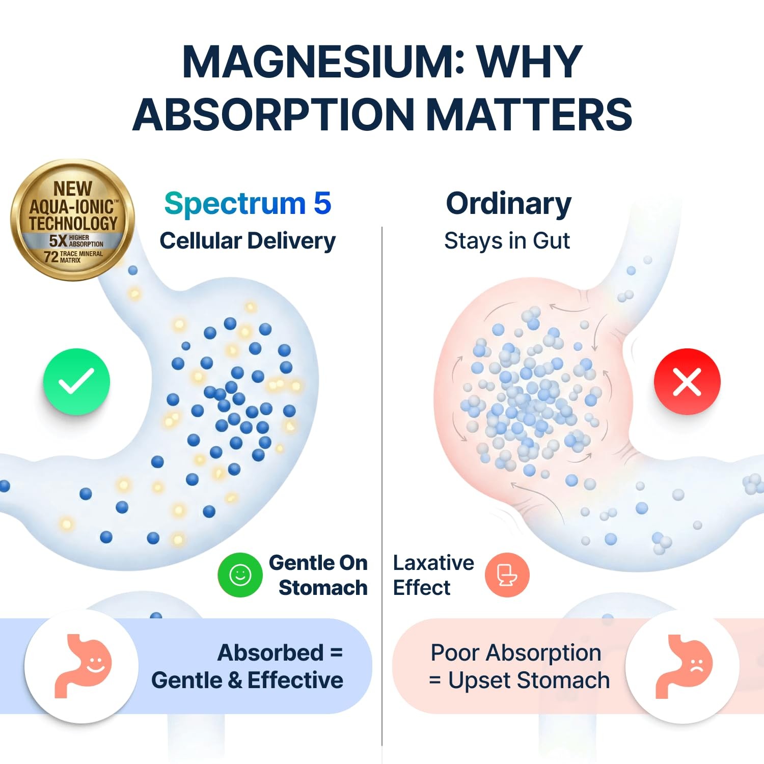 Spectrum 5 Magnesium | 5-in-1 Complex + 72 Trace 1 Count (Pack of 60)