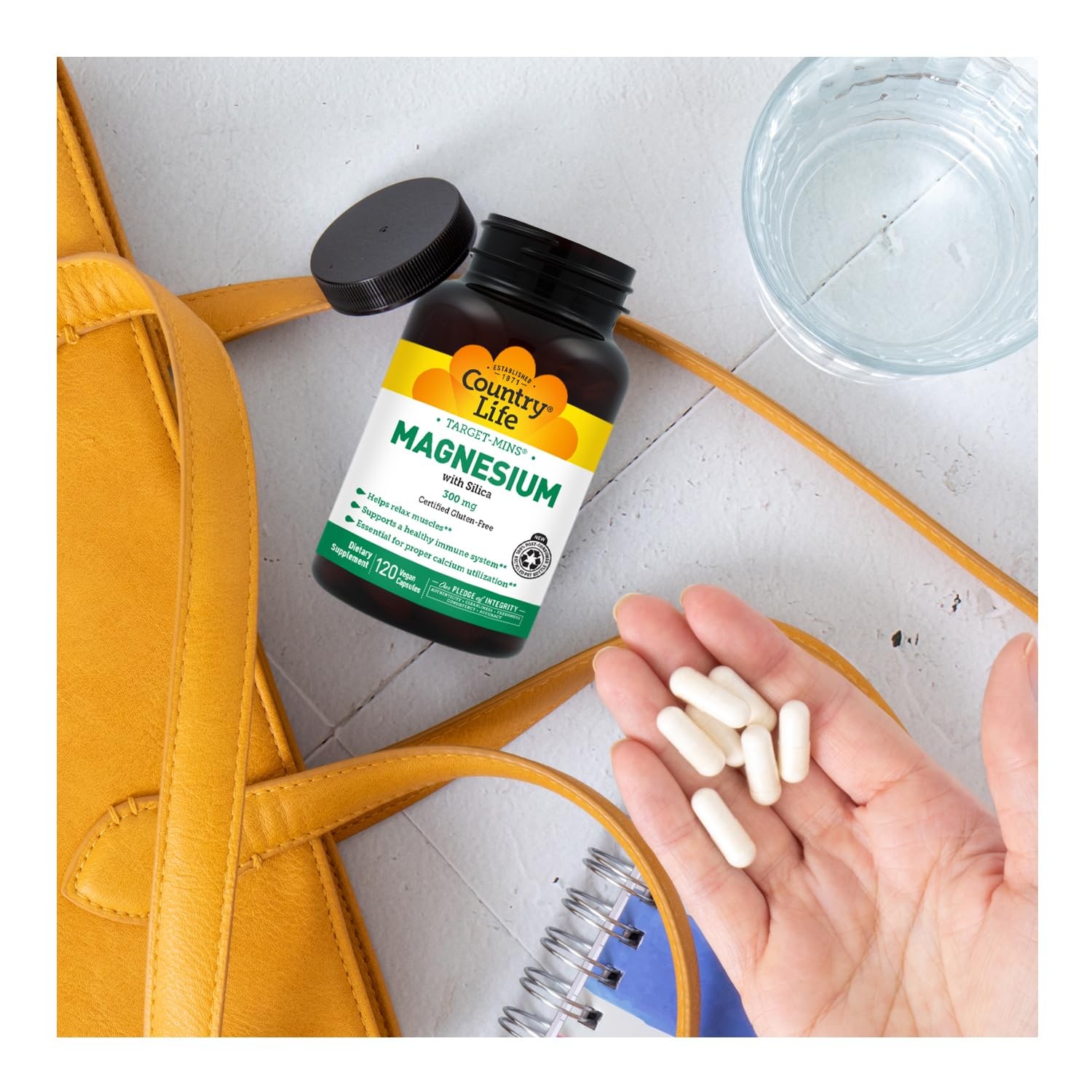 Target-Mins Magnesium with Silica 300 mg 120 Vegetarian 120 Count (Pack of 1)