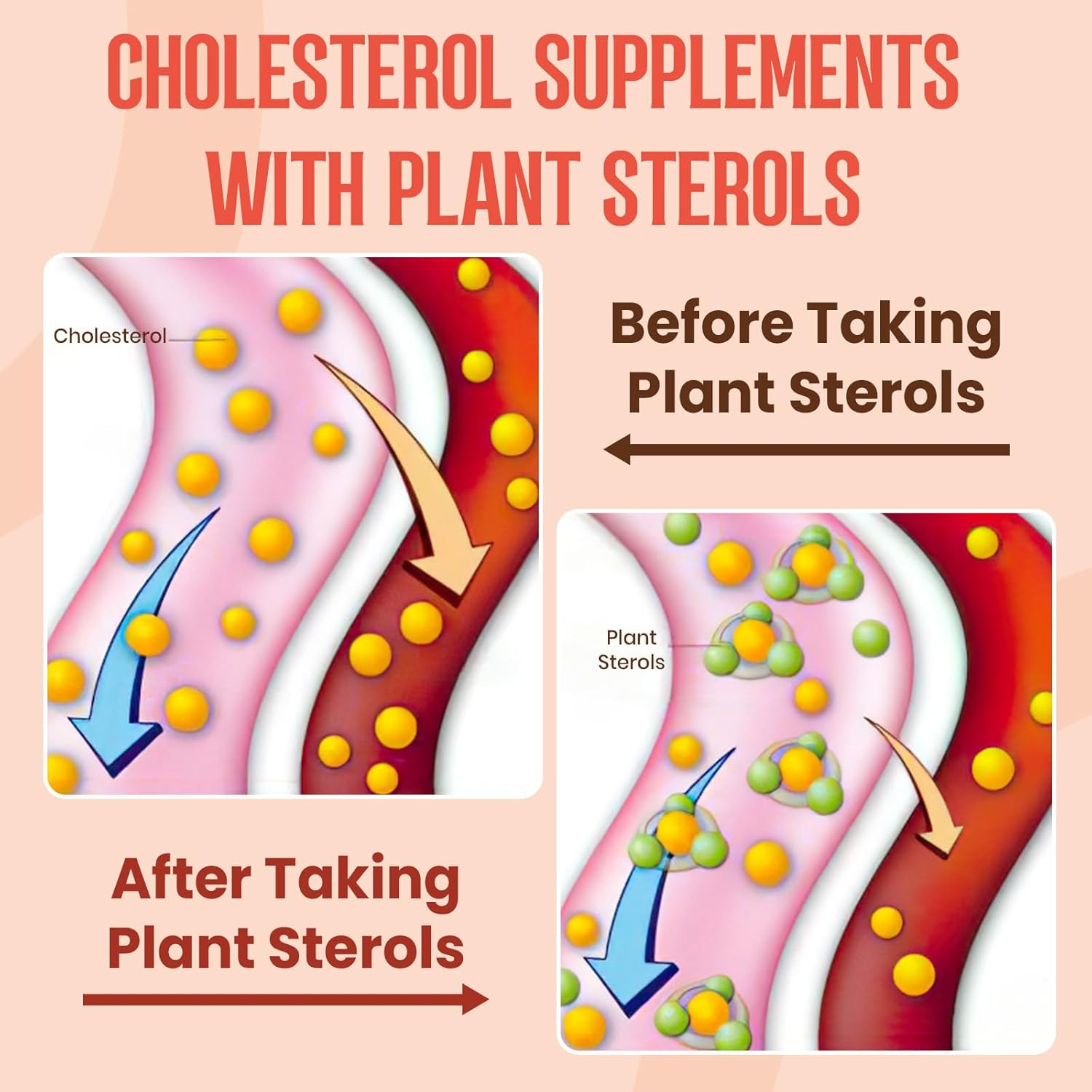 Cholesterol Supplement Gummies with Plant Sterols & Stanols 60 Counts EXP:11/28
