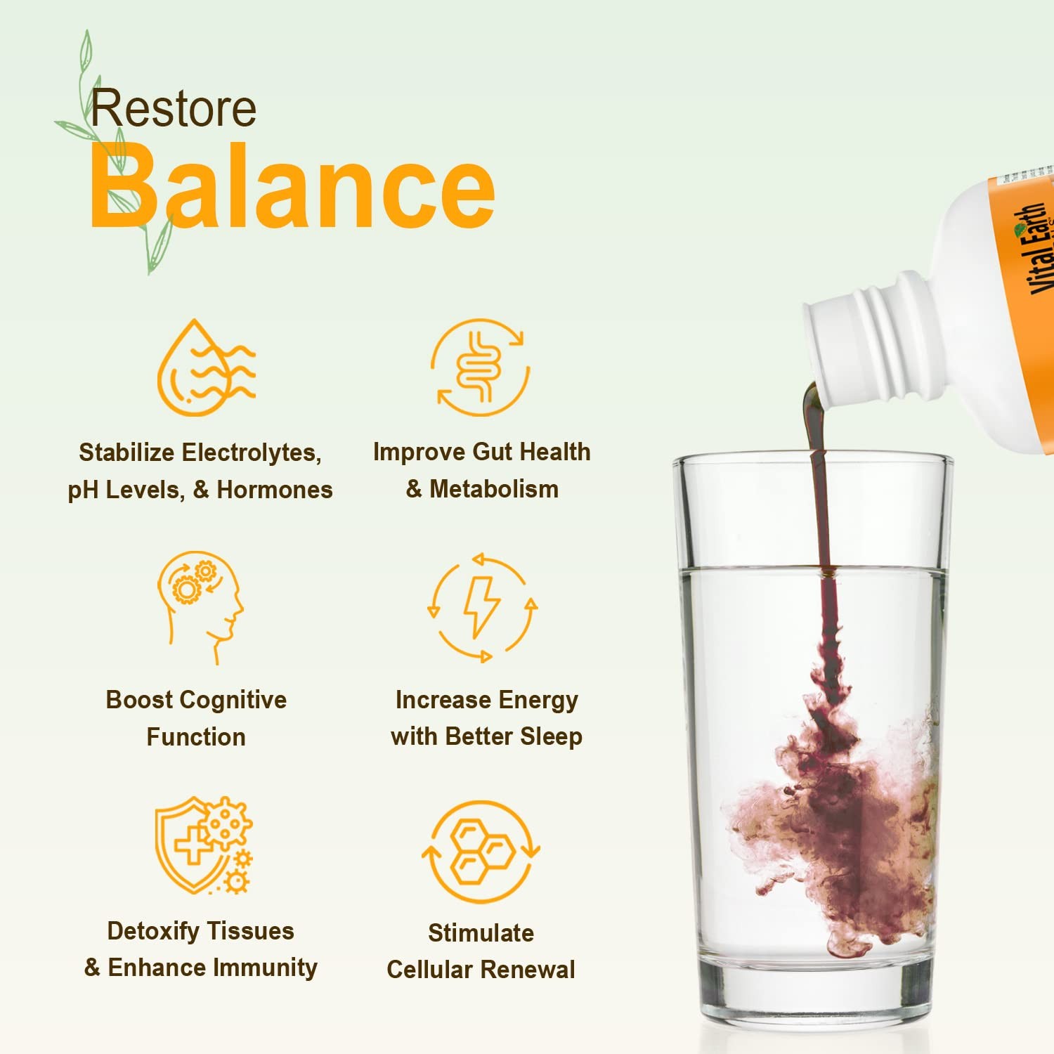 Fulvic Acid Mineral Blend Liquid 2-Pack – 70+ Trace Minerals & Electrolytes