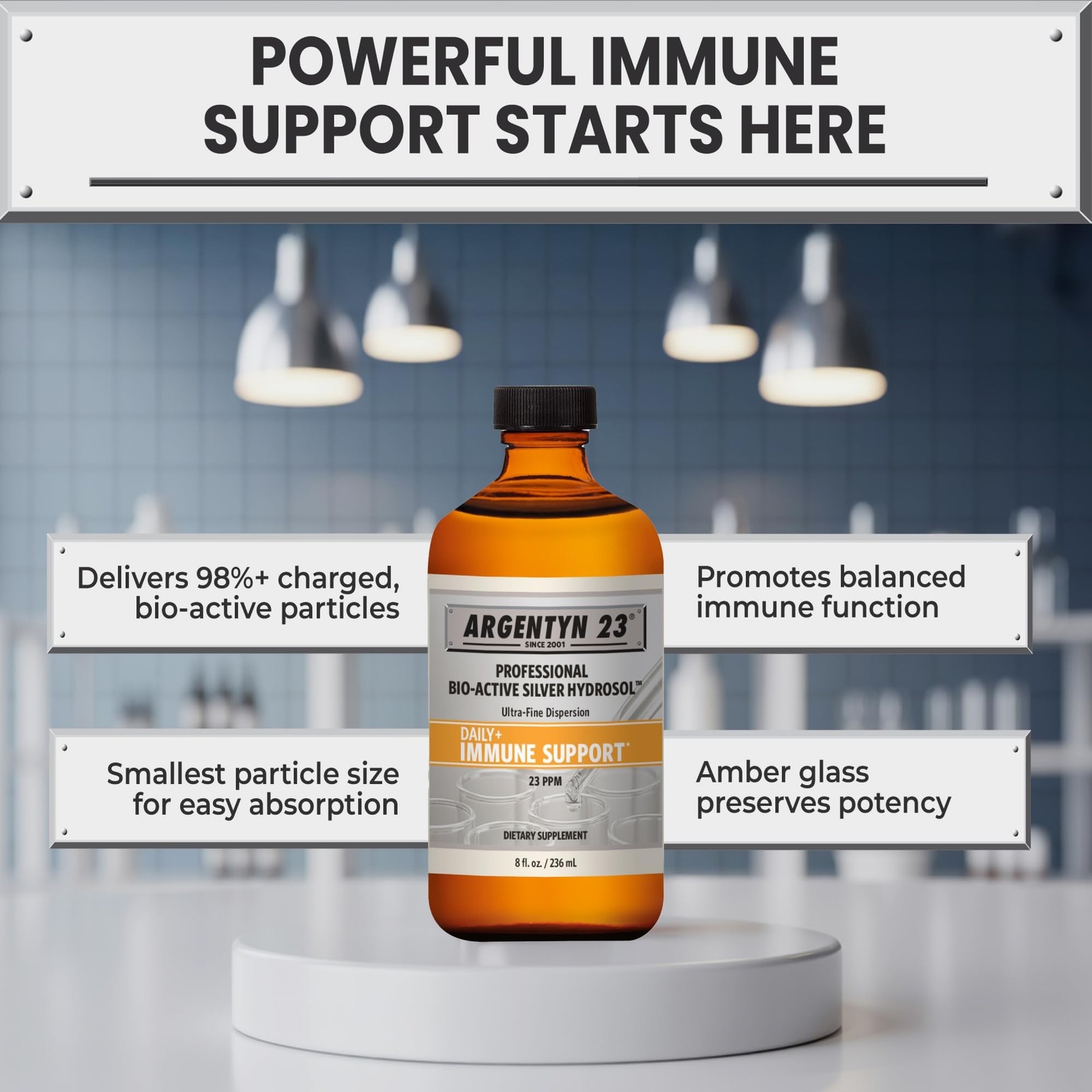 Argentyn 23 Professional Immune Support, Colloidal Silver, 8 fl oz (236 mL) |…