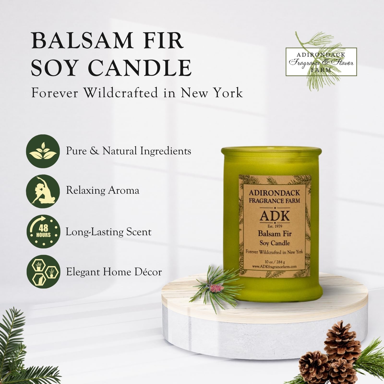 ADK Balsam & Fir Scented Candle, 10 Oz Aromatherapy Candle, Proudly Poured in…