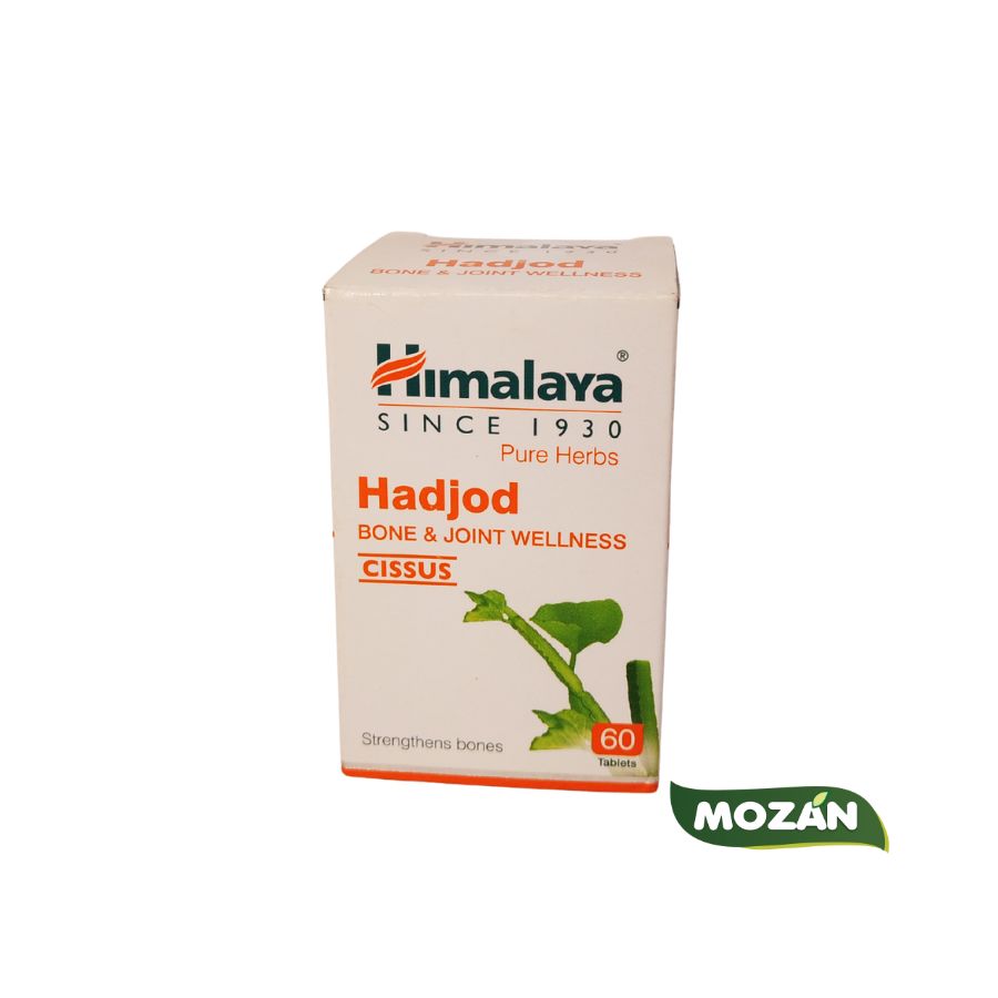 himalaya-since-1930-handjod-woo-3